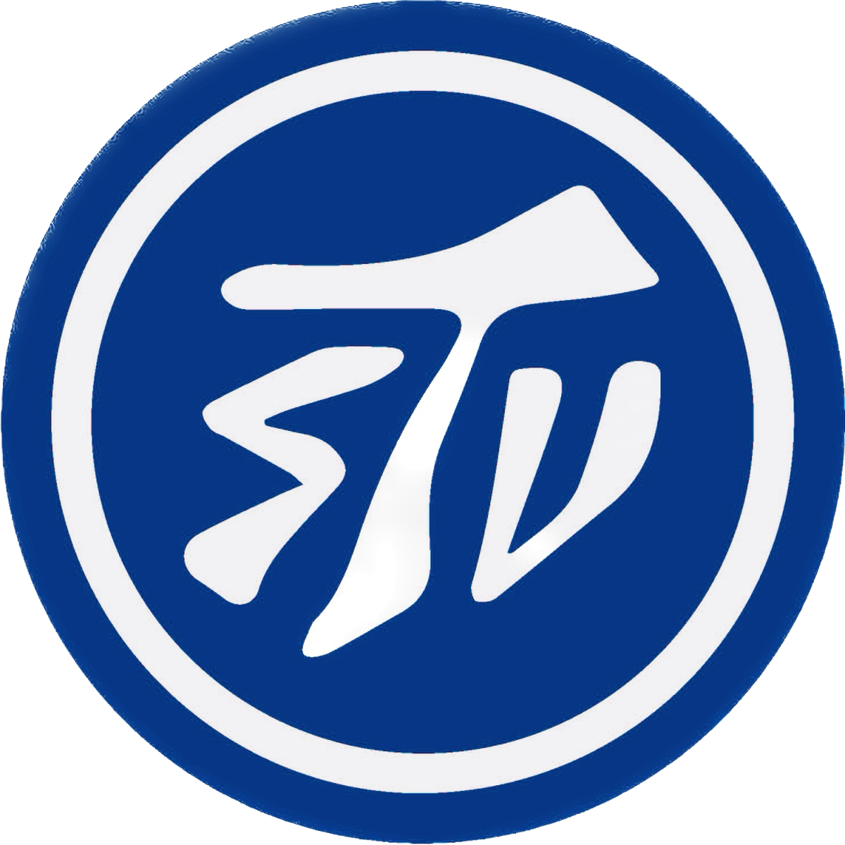 SV Tapfer 06 Leipzig